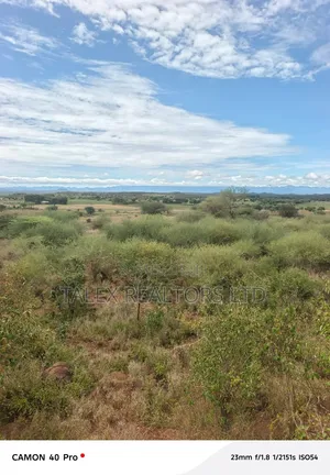 20 Acres Kimana: Mt Kilimanjaro View, Kilaguni Rd