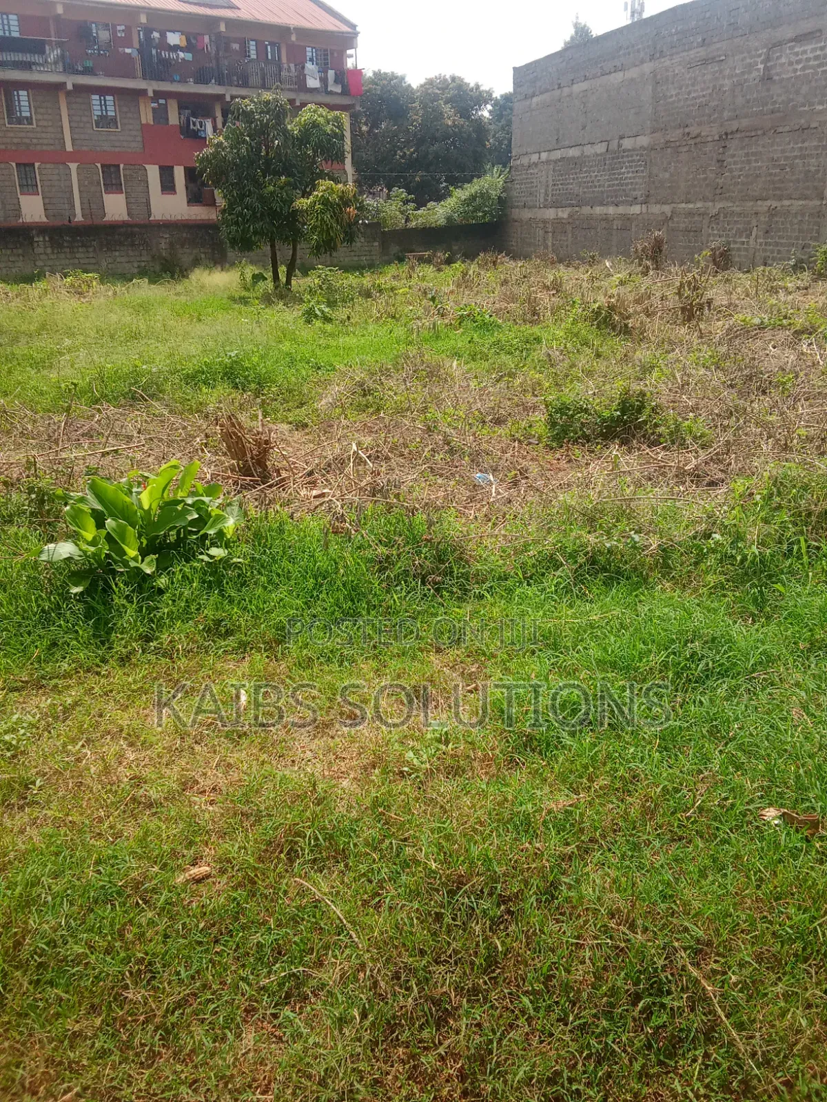Prime Plot for Sale at Ruaka Town 1/2 Acre 63m