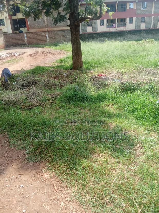 Prime Plot for Sale at Ruaka Town 1/2 Acre 63m - thumbnail 6