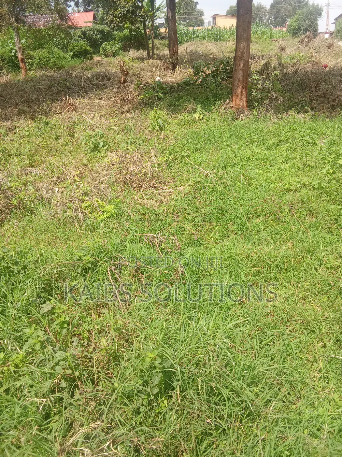 Prime Plot for Sale at Ruaka Town 1/2 Acre 63m