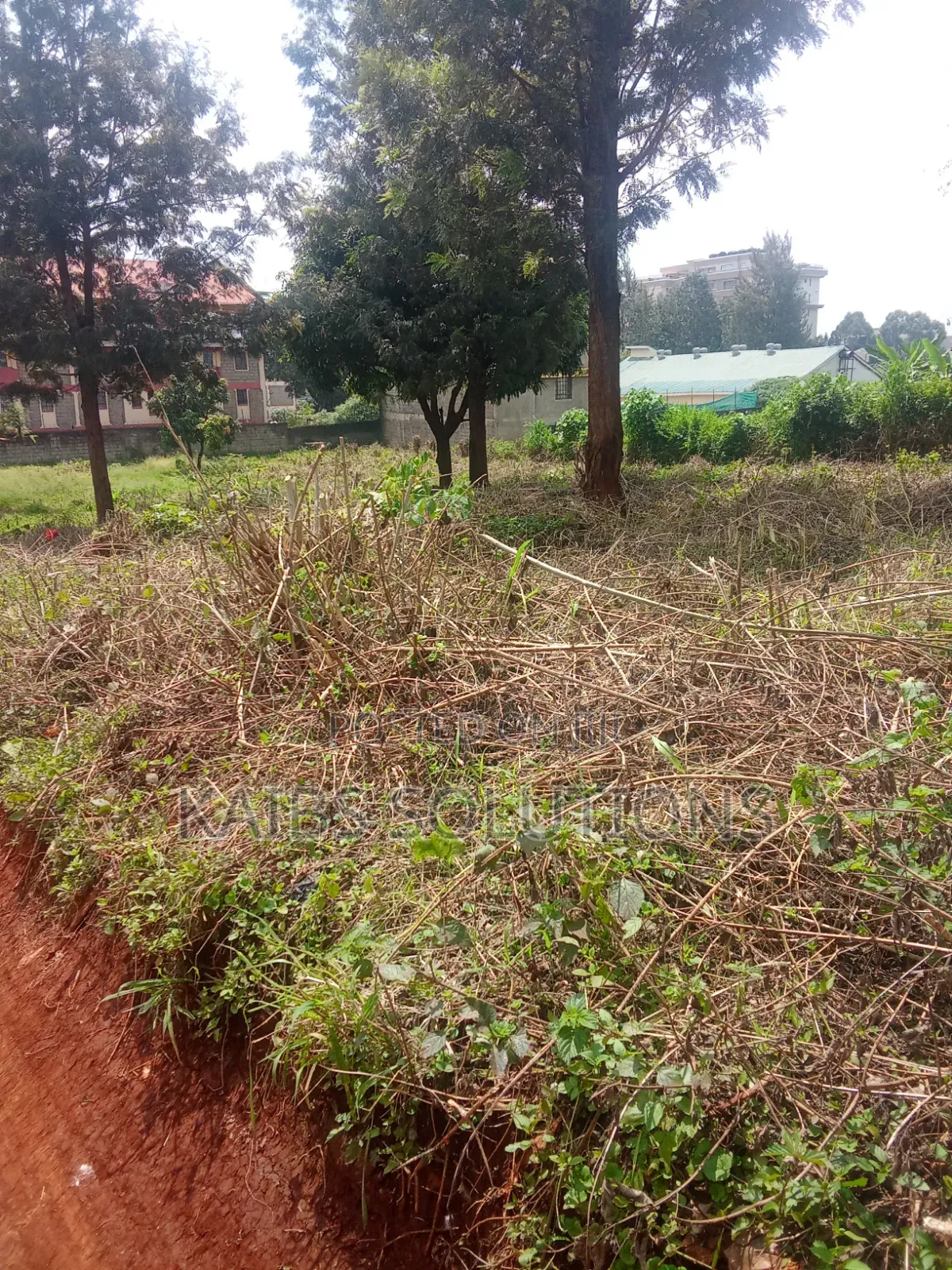 Prime Plot for Sale at Ruaka Town 1/2 Acre 63m