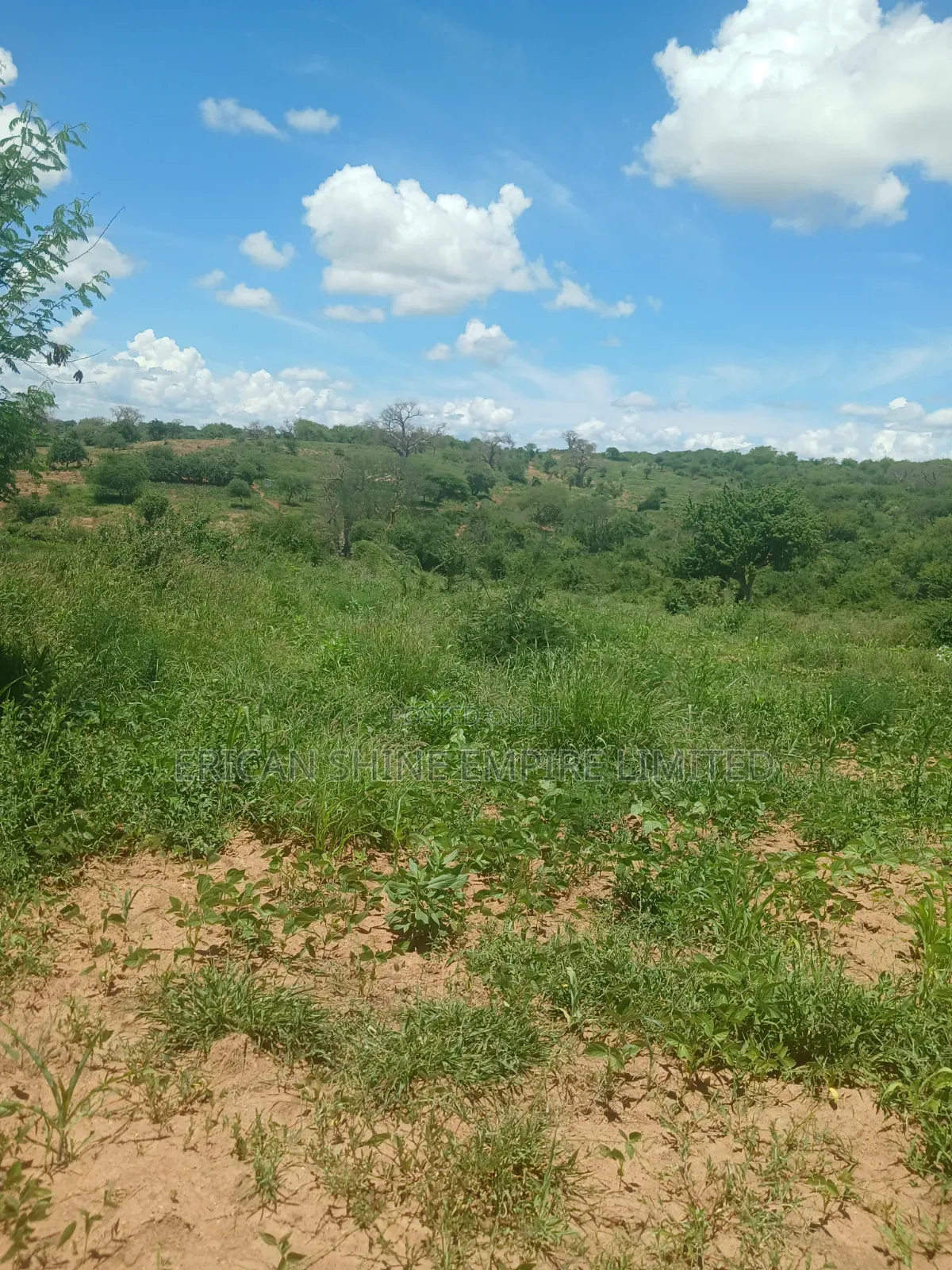 20 Acres Prime Land for Sale in Embu