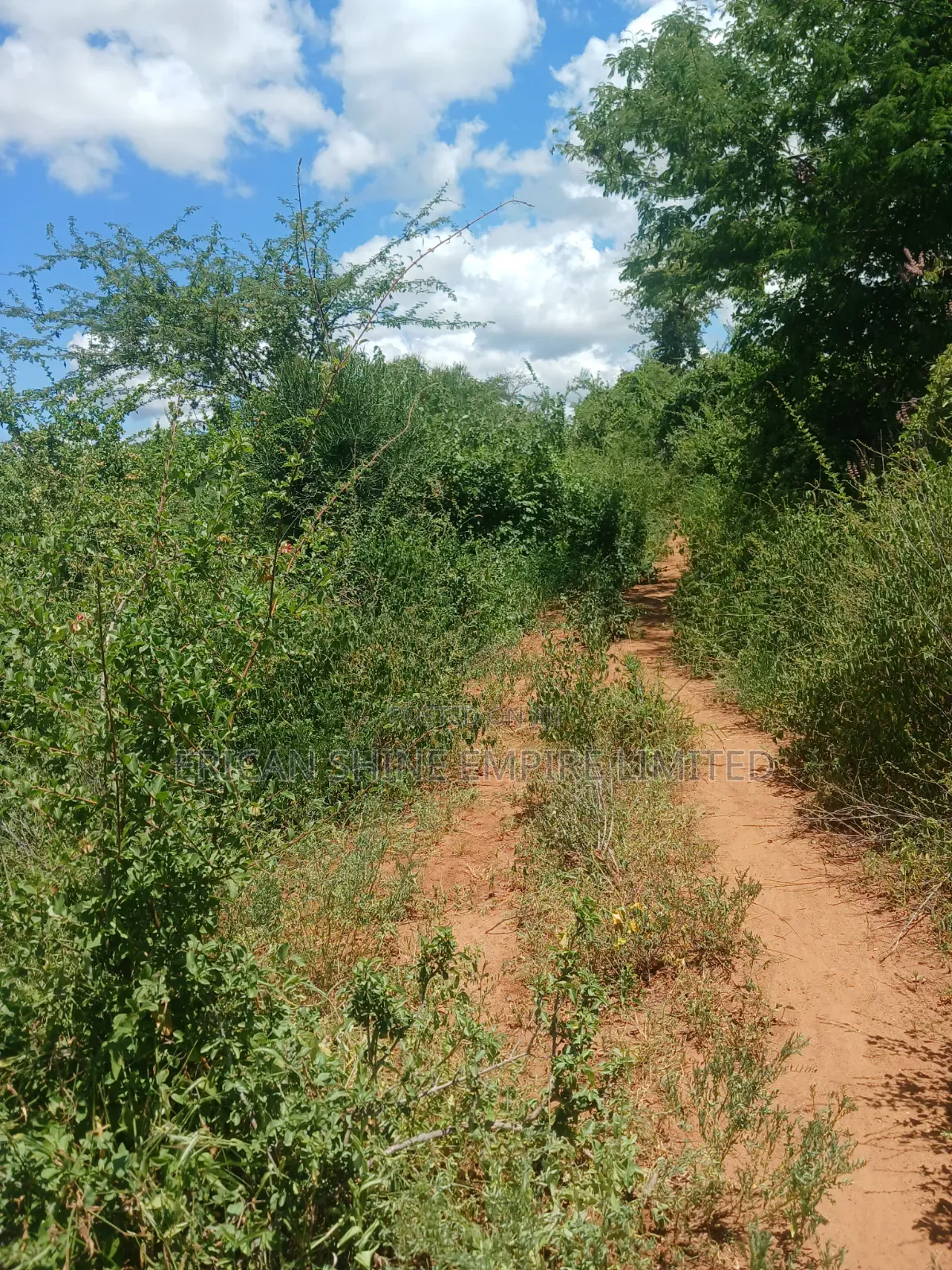 20 Acres Prime Land for Sale in Embu