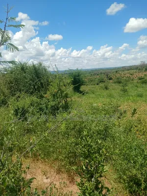 20 Acres Prime Land for Sale in Embu