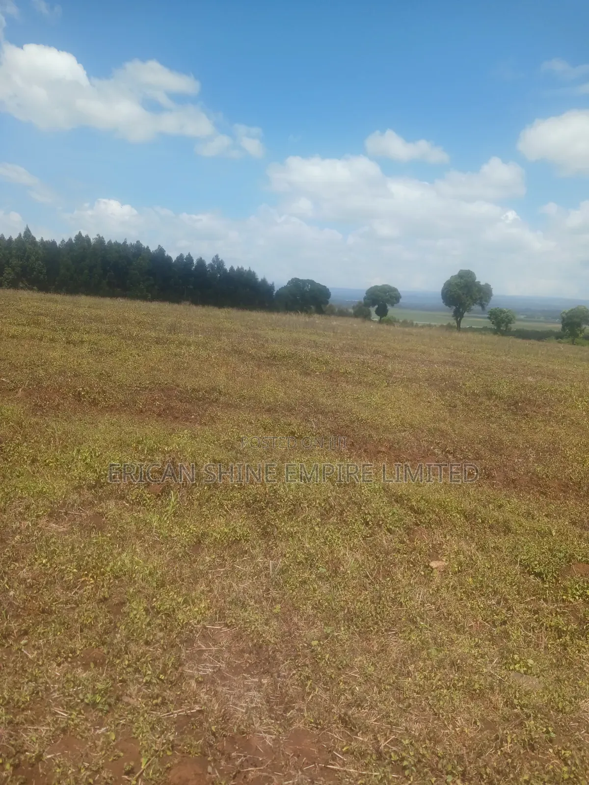 Prime Lands for Sale 20/ 50 Acres in Nyandarua