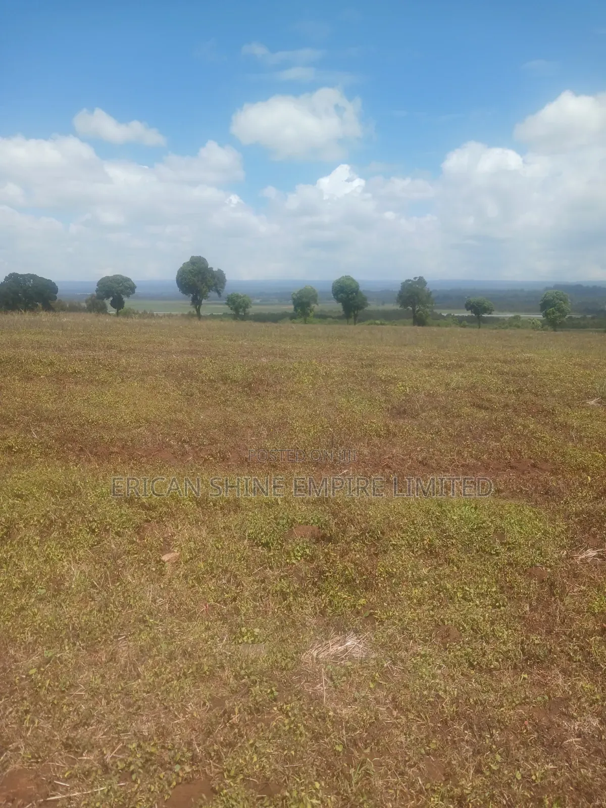 Prime Lands for Sale 20/ 50 Acres in Nyandarua