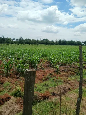 5 Acres Prime Land for Sale in Nyahururu