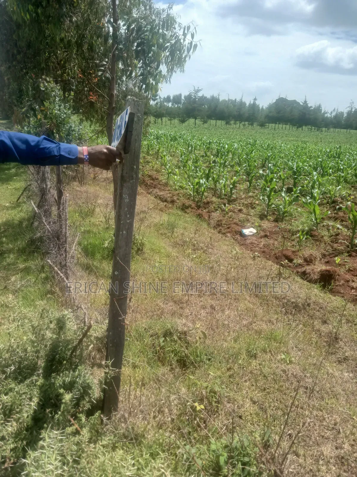 5 Acres Prime Land for Sale in Nyahururu