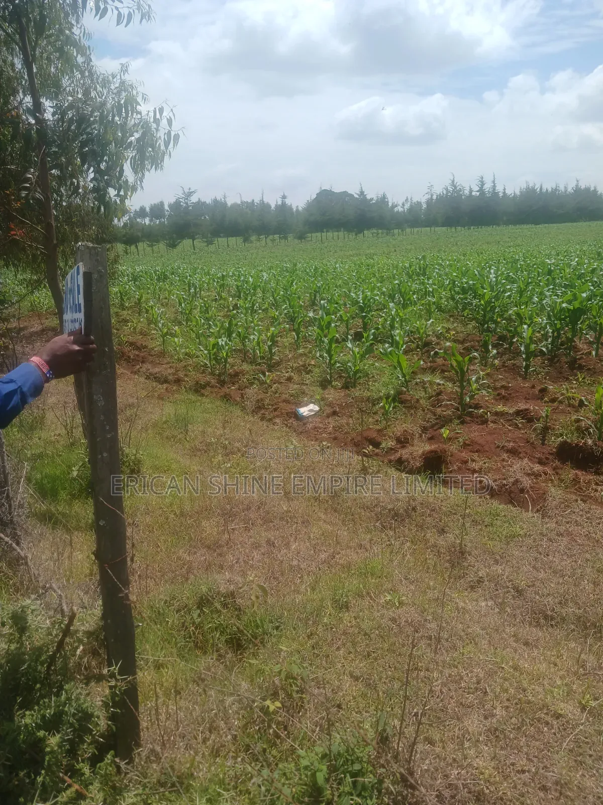 5 Acres Prime Land for Sale in Nyahururu
