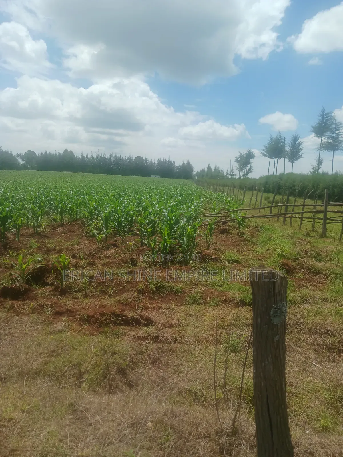 5 Acres Prime Land for Sale in Nyahururu
