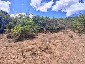 Prime 10 Acres for Sale in Mua Machakos