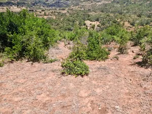 Prime 10 Acres for Sale in Mua Machakos