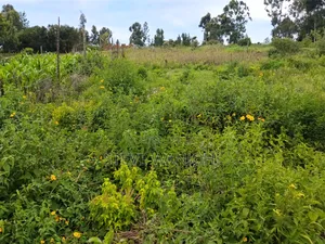 Plot on Sale