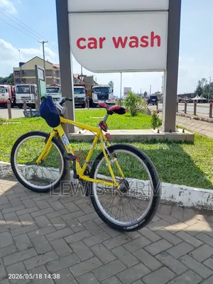 Raleigh Adult Bicycle.