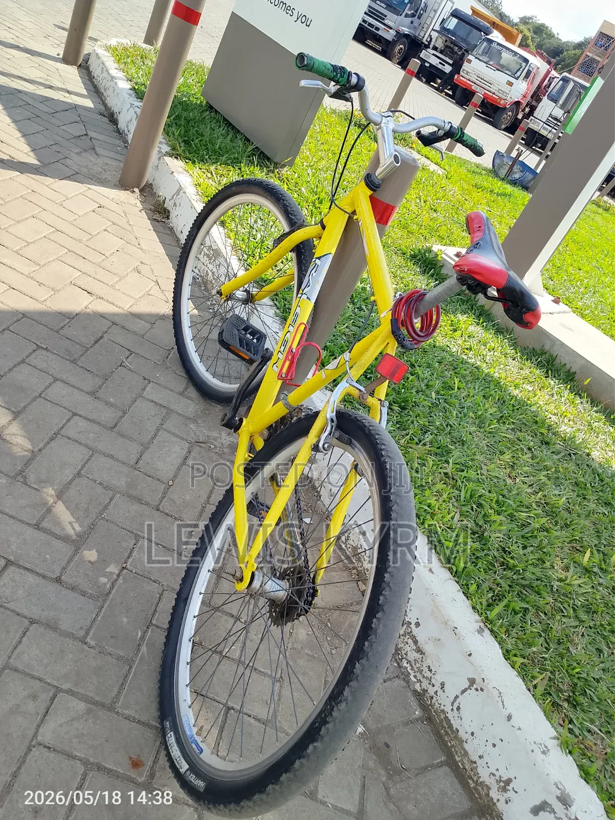 Raleigh Adult Bicycle.