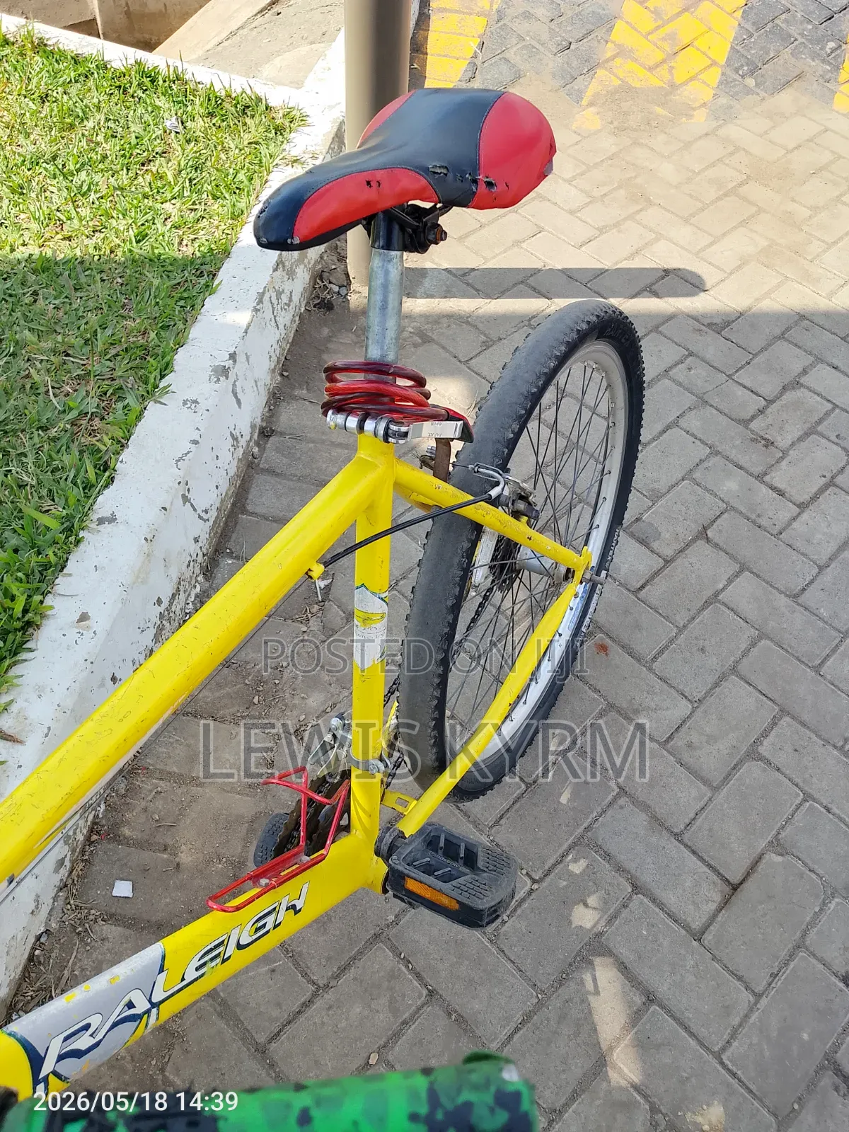 Raleigh Adult Bicycle.