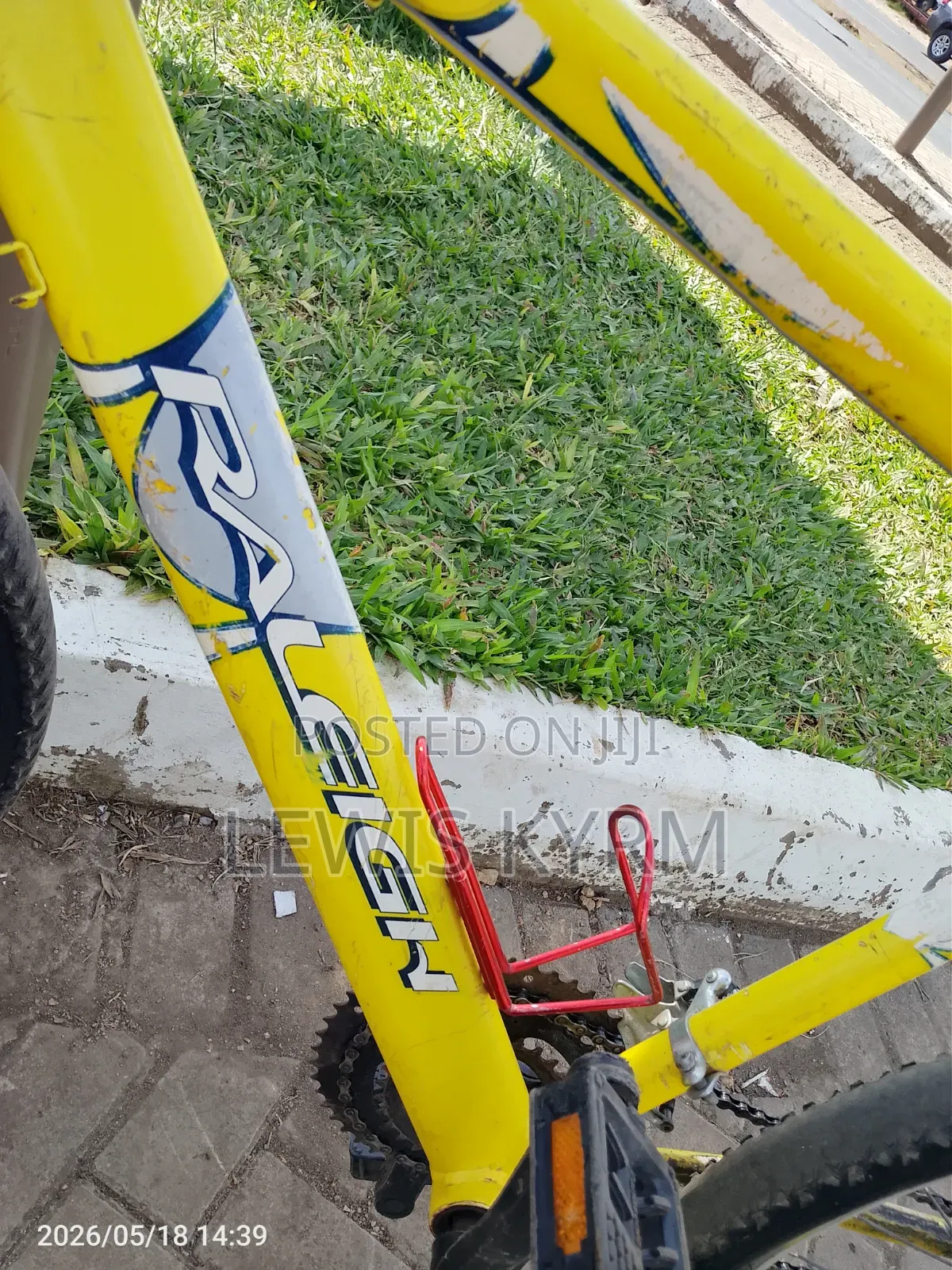 Raleigh Adult Bicycle.