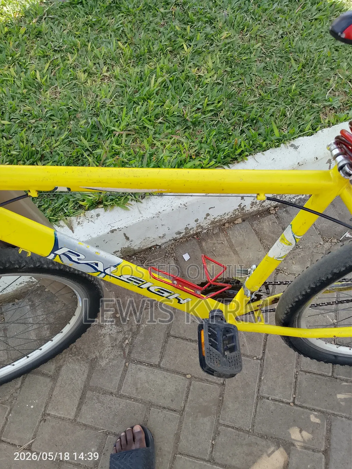 Raleigh Adult Bicycle.