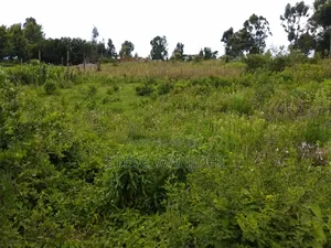 Plot on Sale