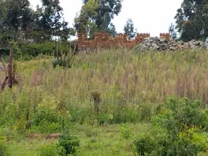 Plot on Sale