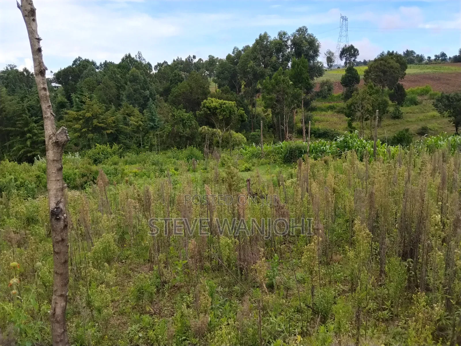 Plot on Sale