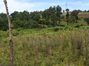 Plot on Sale