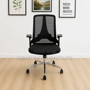 Low Back Ergonomic Mesh Office Chair With Lumbar Support Chrome Base