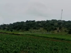 Land for Sale – Lemek Area, Around Ololulung’A