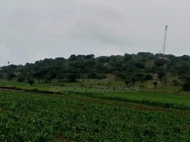 Land for Sale – Lemek Area, Around Ololulung’A