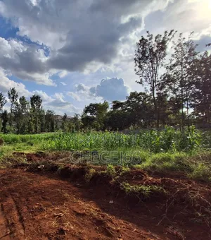 Half an Acre on Sale in Kamuthi ,Maziwa Off Northern Bypass