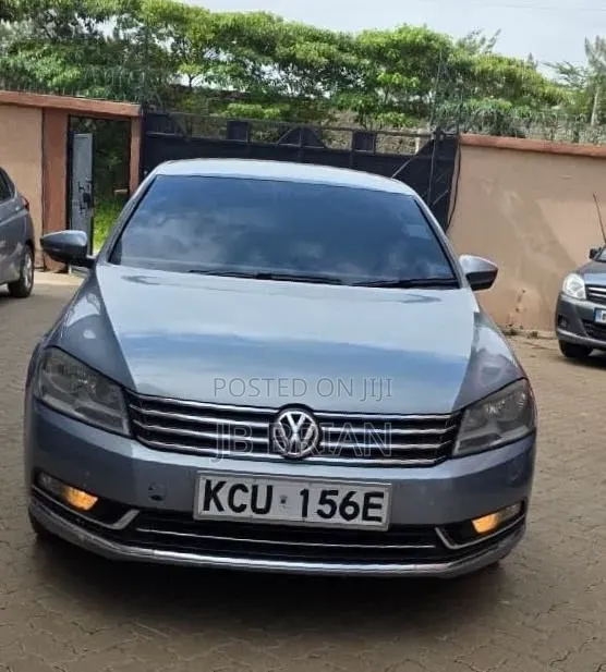 Volkswagen Passat 2013 Blue