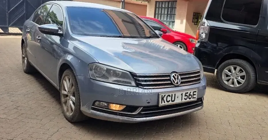 Volkswagen Passat 2013 Blue