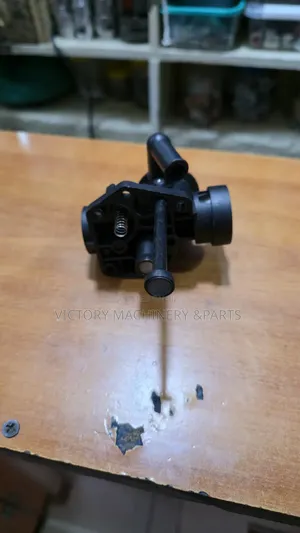 Lawn Mower Carburator