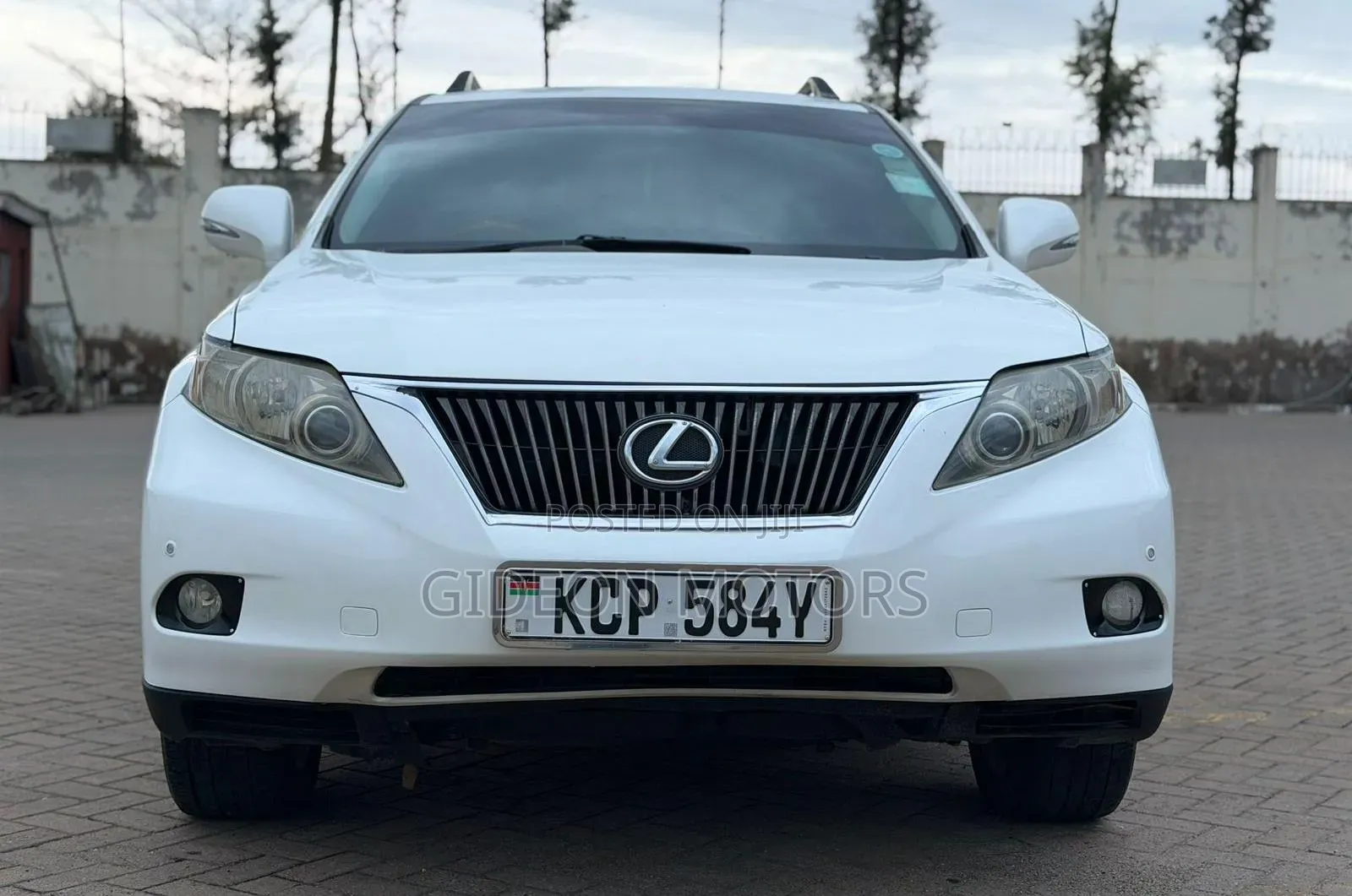 Lexus RX 2011 White