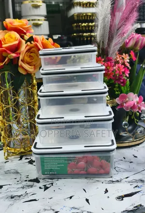 5pcs Fridge Containers
