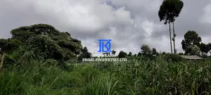 Residential Plots – Kikuyu, Kerwa (Muguga Jet Scheme