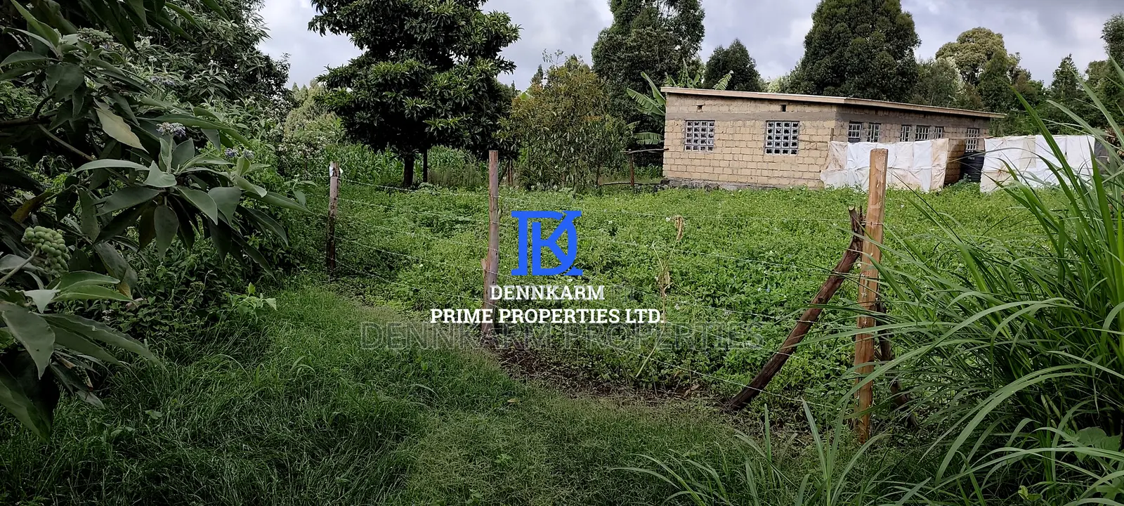 Residential Plots – Kikuyu, Kerwa (Muguga Jet Scheme