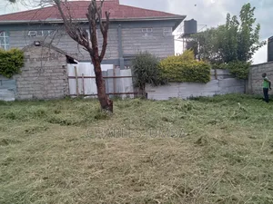 1/8 Plot in Muigai Estate