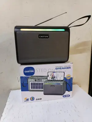 Caston Portable Wireless Speaker and Radio System.