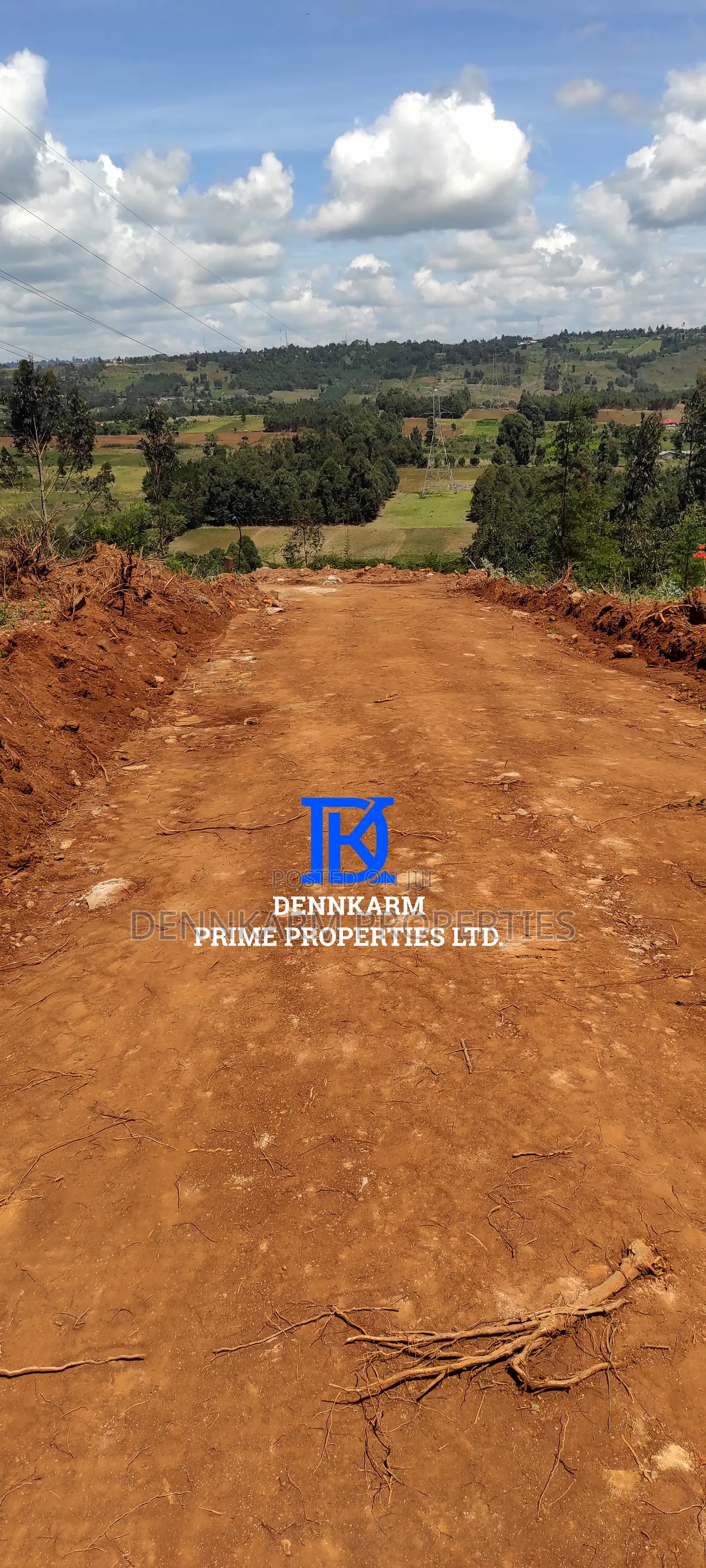 Prime Plots for Sale – Forest Groove Kikuyu, Thigio