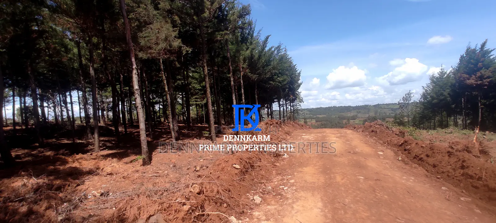 Prime Plots for Sale – Forest Groove Kikuyu, Thigio