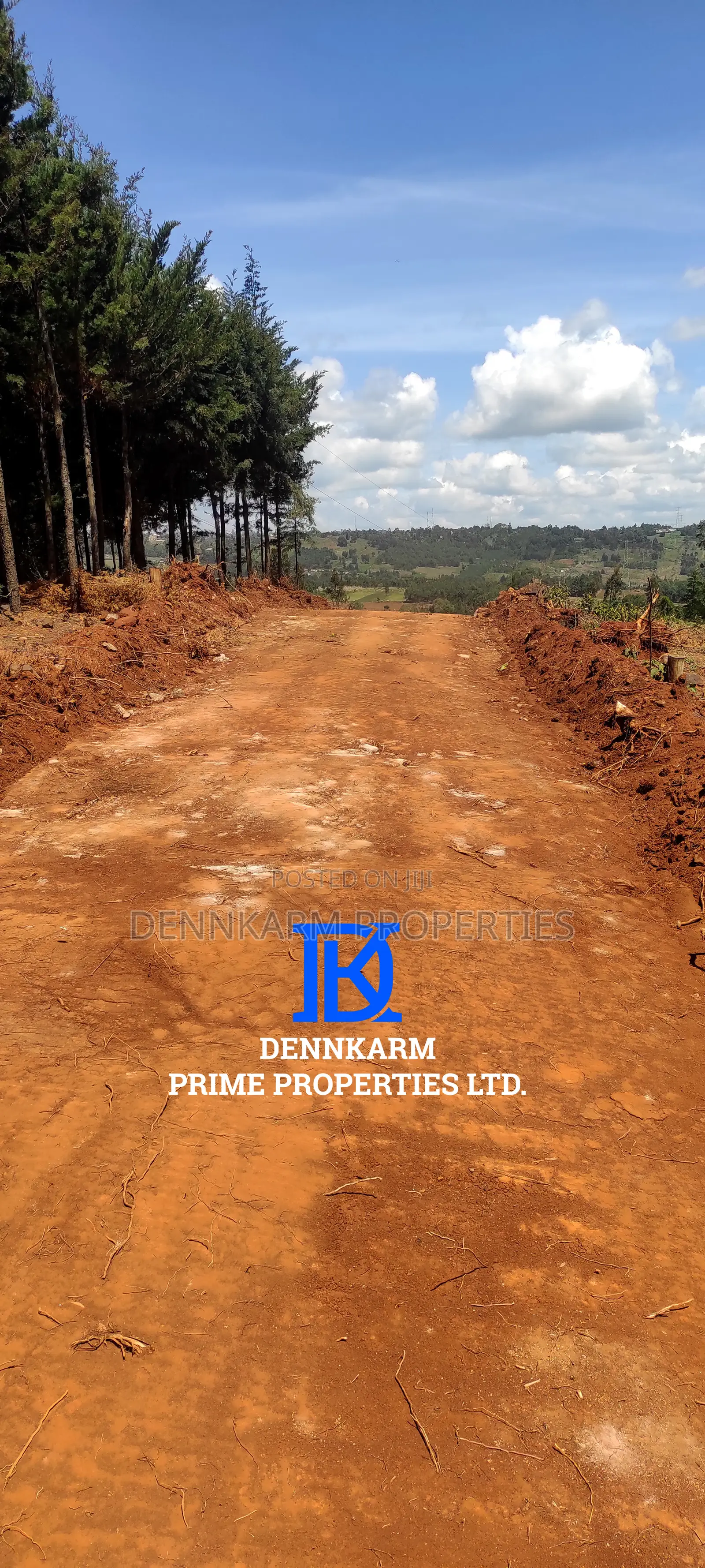 Prime Plots for Sale – Forest Groove Kikuyu, Thigio