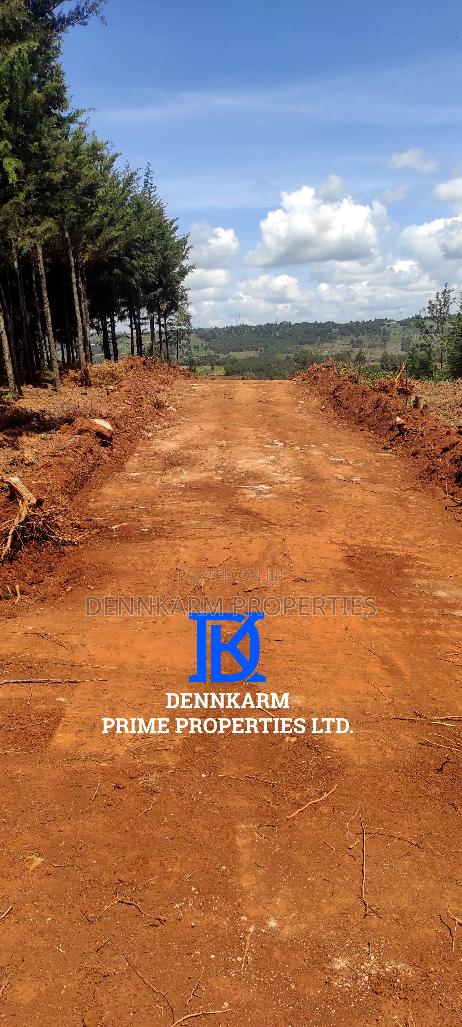 Prime Plots for Sale – Forest Groove Kikuyu, Thigio