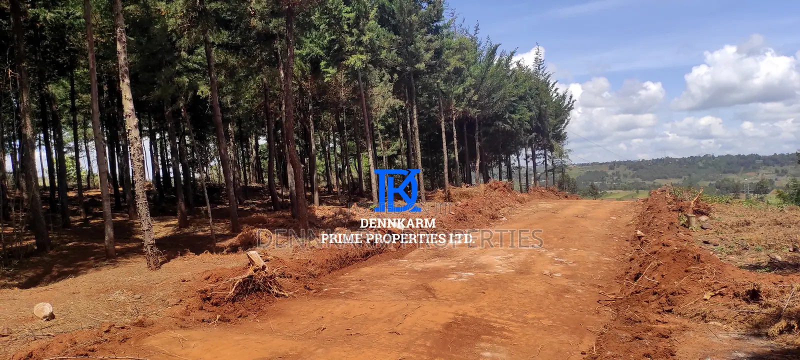 Prime Plots for Sale – Forest Groove Kikuyu, Thigio