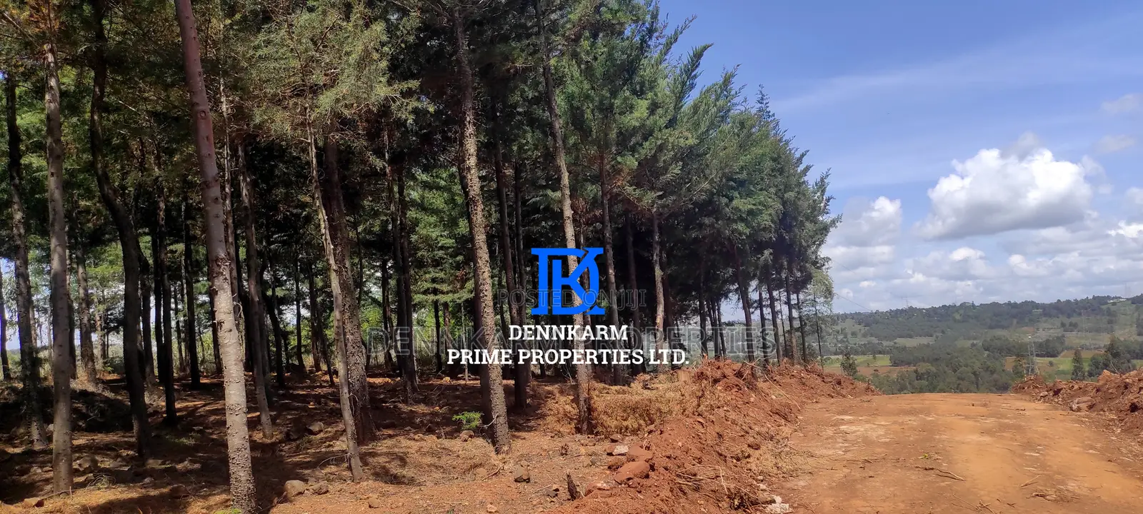 Prime Plots for Sale – Forest Groove Kikuyu, Thigio