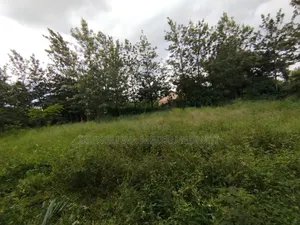 Prime Urban Residential Plot