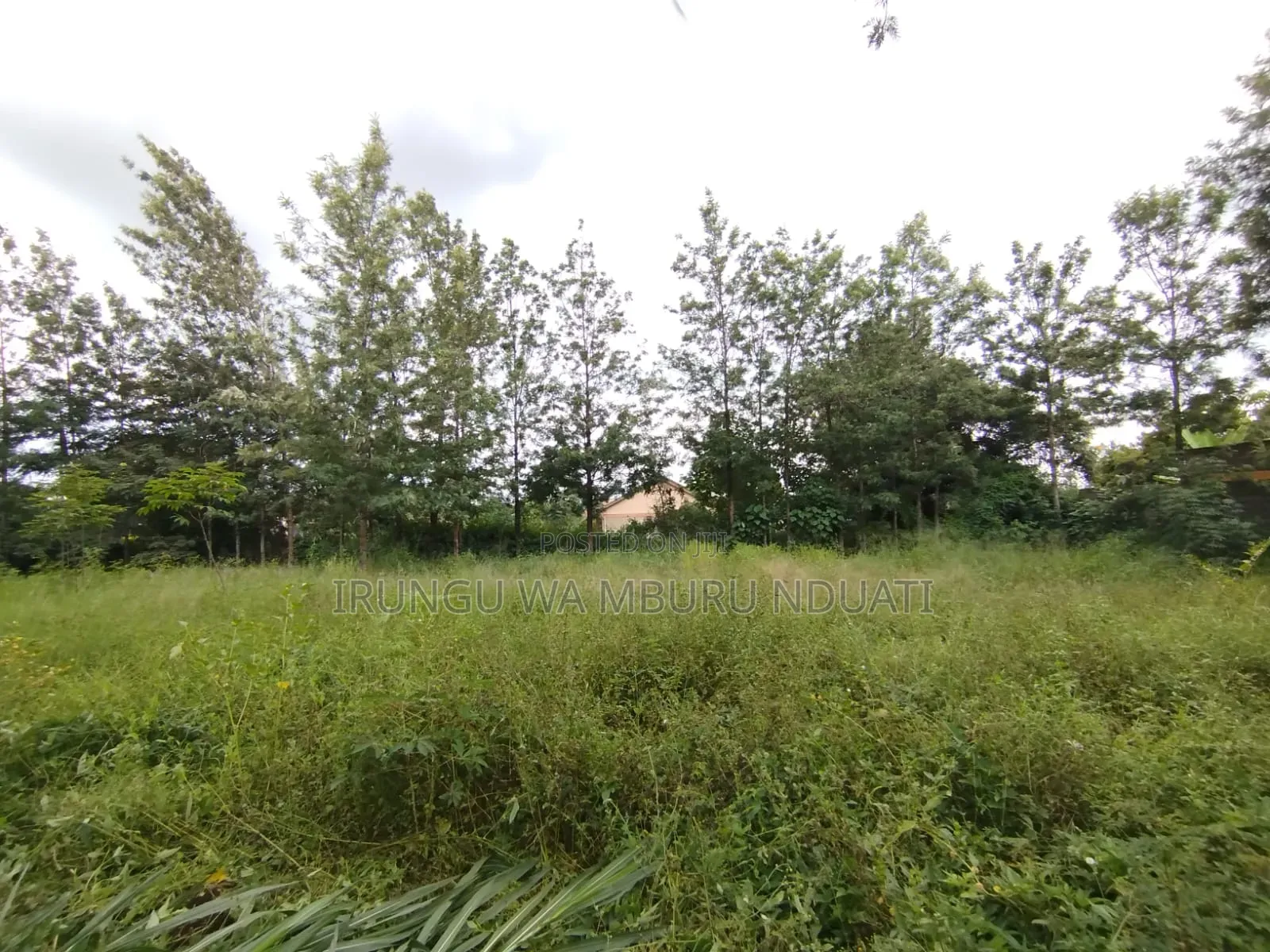 Prime Urban Residential Plot