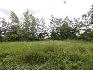 Prime Urban Residential Plot