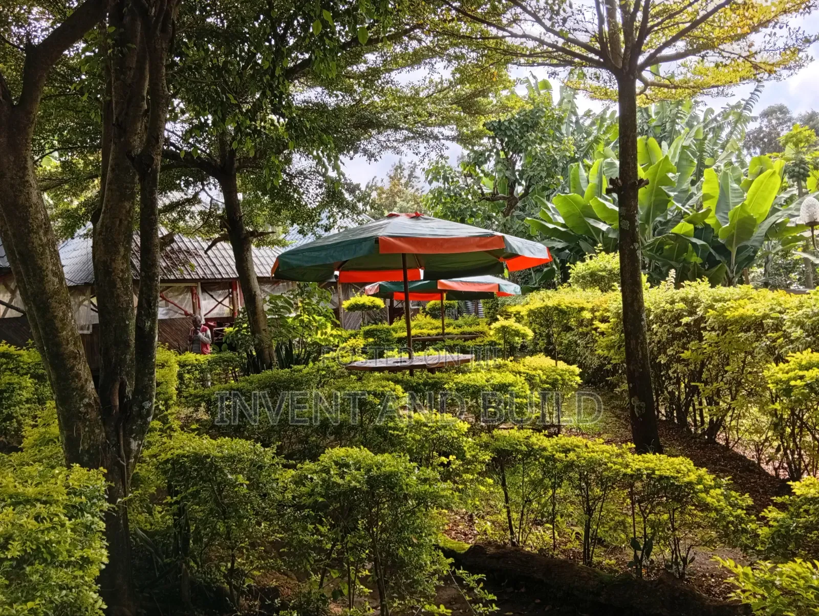 Garden Umbrellas