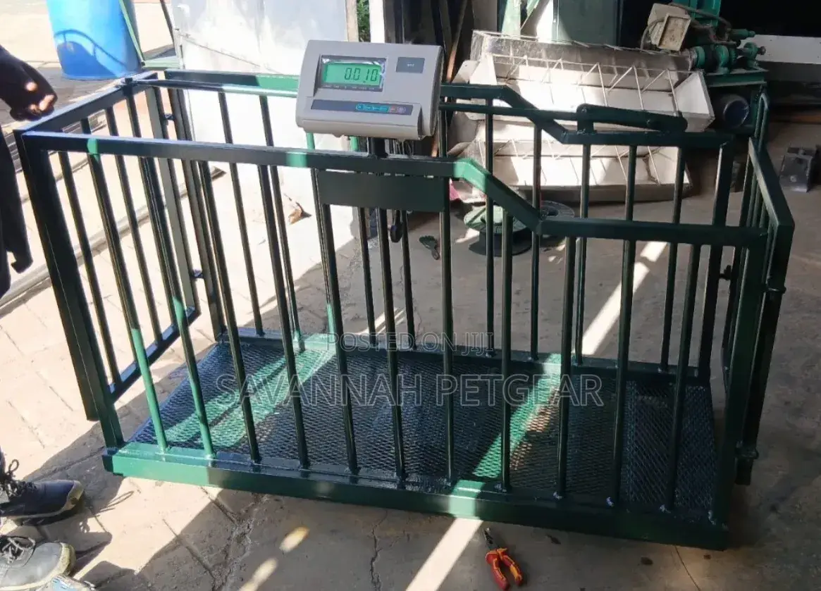 Digital Livestock Weighing Scale Designed for Animals Pigs,Goats,Sheep